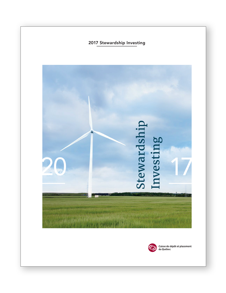 Stewardship Investing Report 2017