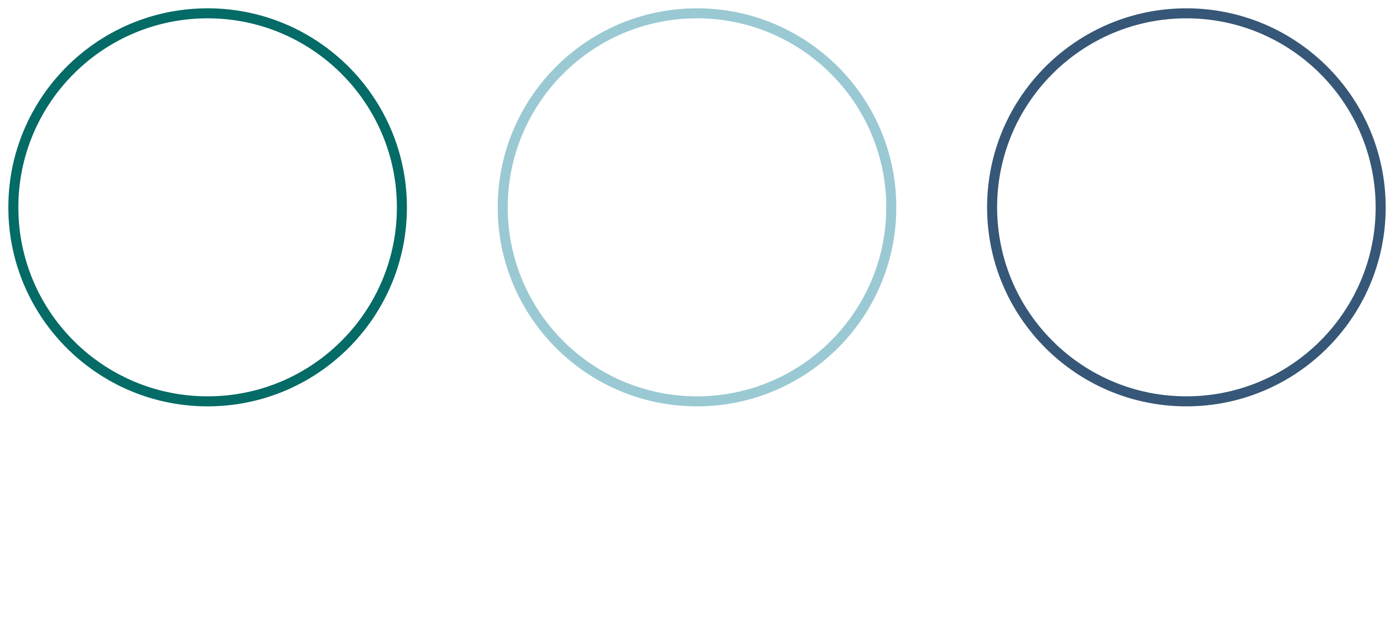 This figure shows how climate change is factored into the three key steps of our investment process: pre-investment, post-investment and continuous portfolio management.